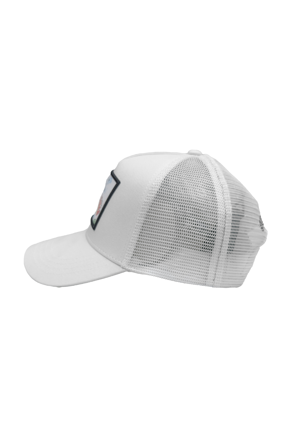 Sierra Cap*