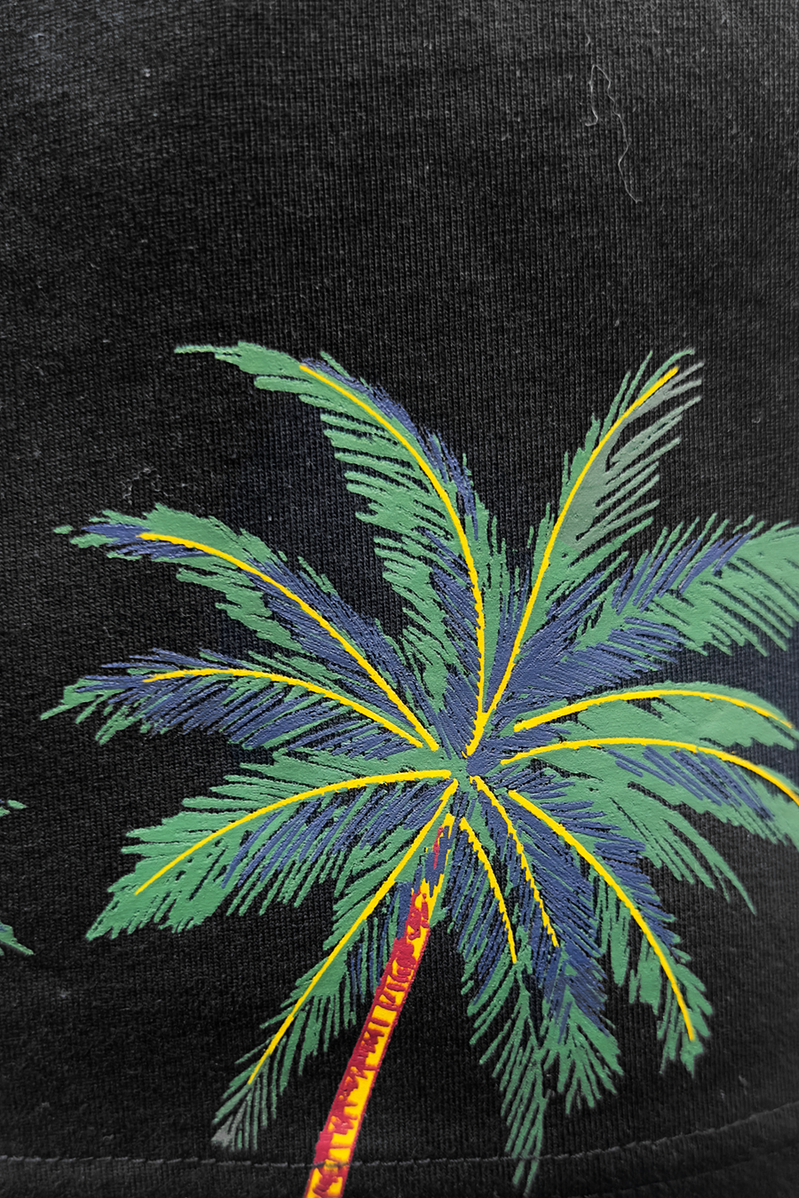 Achensee T-Shirt*
