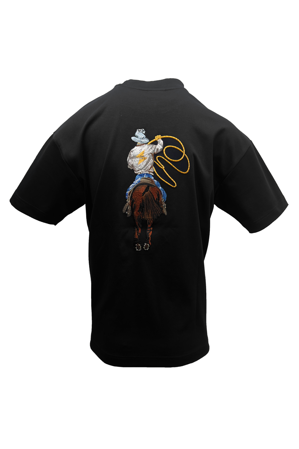 Haysaan Box T-Shirt*